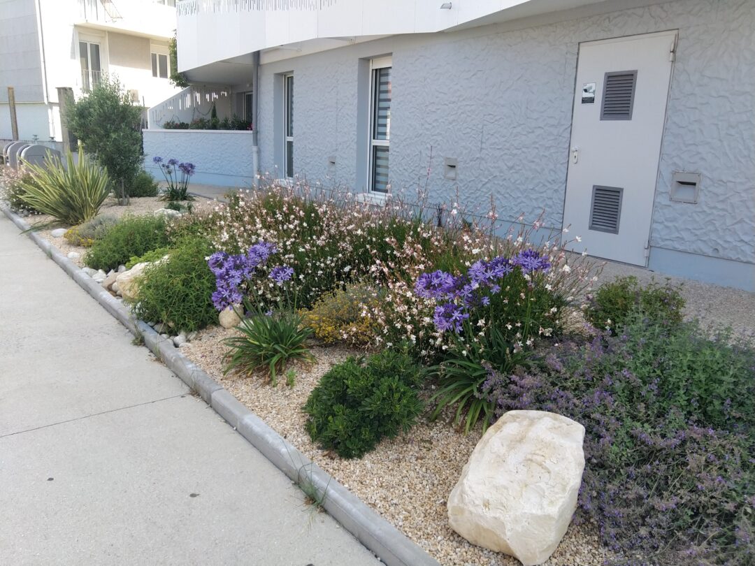 Massif fleuri à La Rochelle