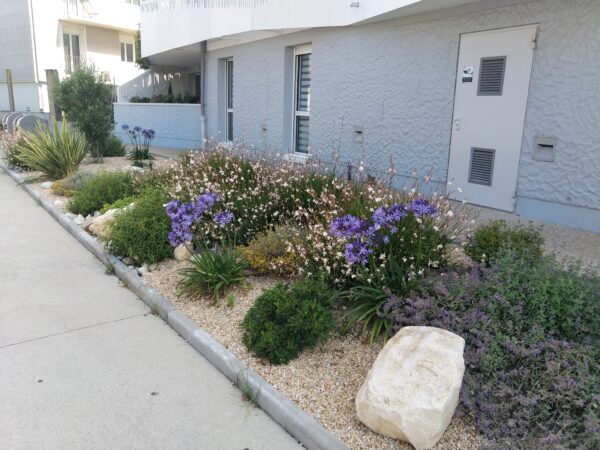 Massif fleuri de vivaces